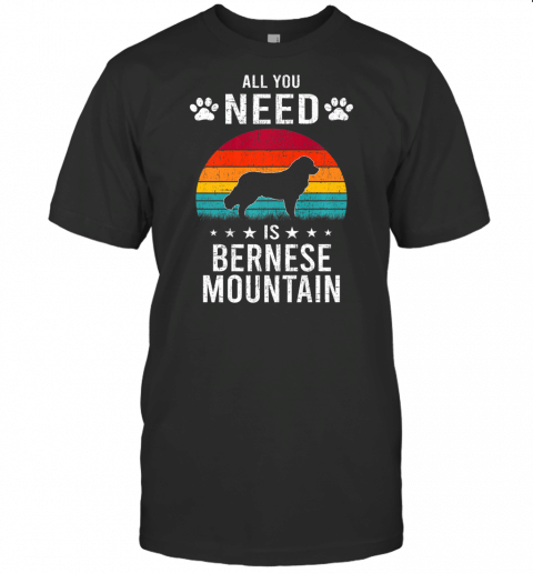 All You Need Is Bernese Mountain Dog Lover Premium T Shirt