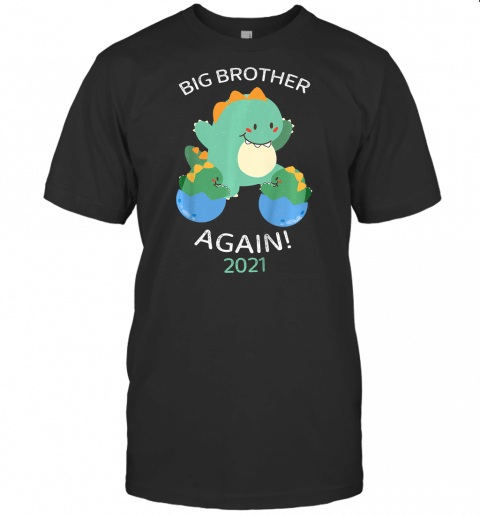 Kids Big Brother Again 2021 T Shirt Cute Dinosaur Siblings T Shirt