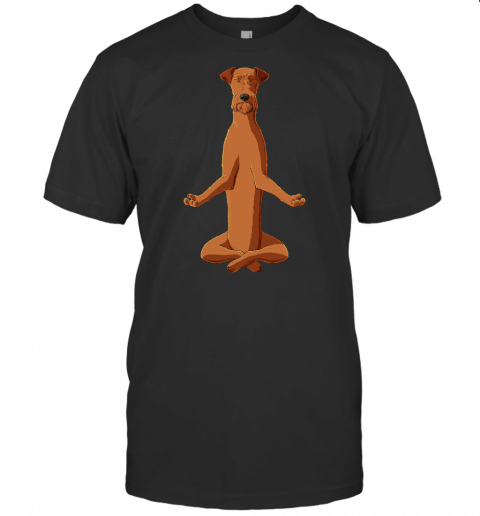 Funny Yoga Dog Irish Terrier T Shirt