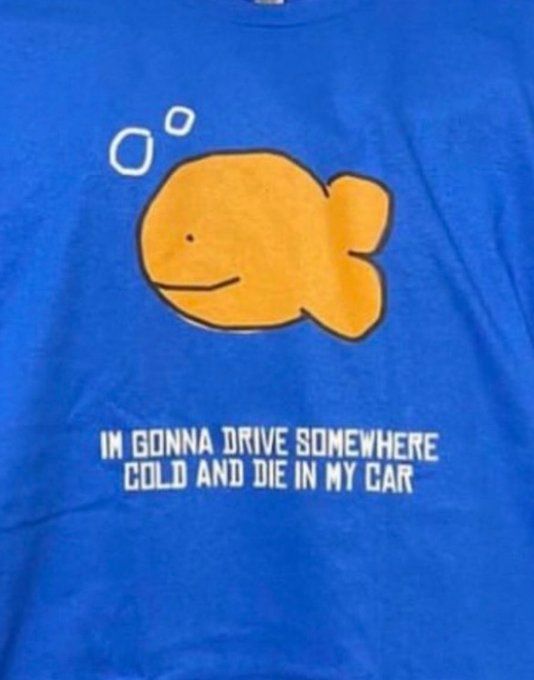 Im Gonna Drive Somewhere Cold And Die In My Car Shirt