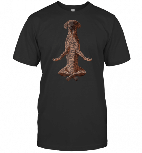 Funny Yoga Dog Treeing Tennessee Brindle Premium T Shirt