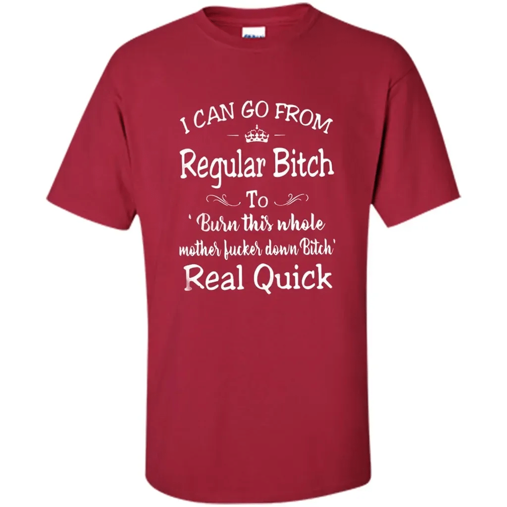 Check Out This Awesome I Can Go From Regular Bitch To Burn This Whole Mother – Shirt