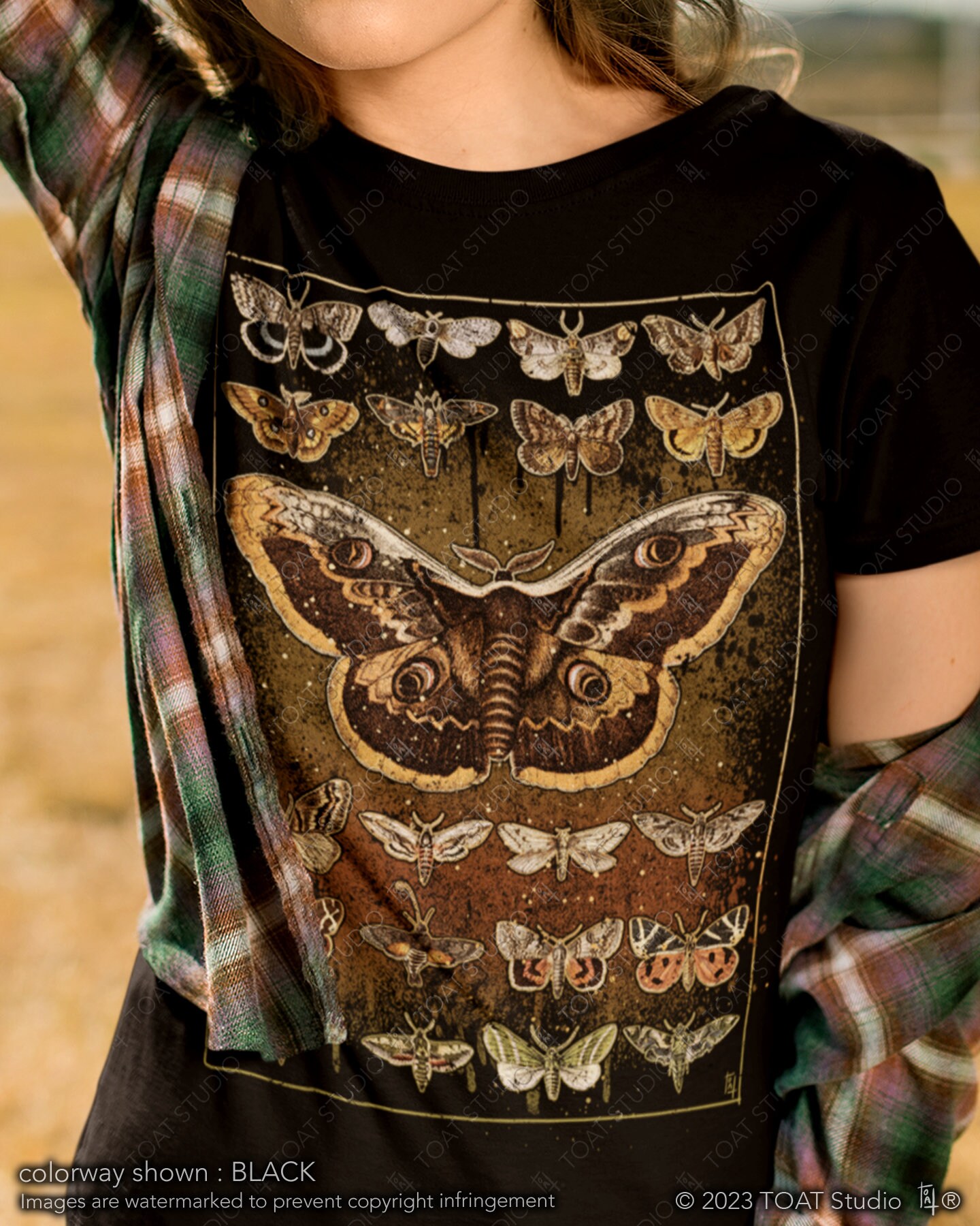 Moths Unisex T-shirt, Moth Artwork, Winged Insect, Insect Graphic Tee, Vintage Style, Nature Lover Shirt, Moth Species, Butterfly Species