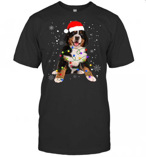 Bernese Mountain Dog Lights Christmas Matching Family T Shirt