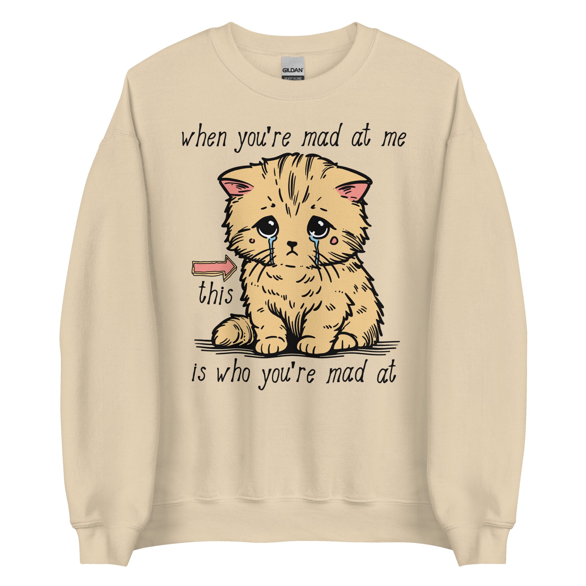 When You’re Mad At Me This Is Who You’re Mad At – Cute Meme Sweatshirt