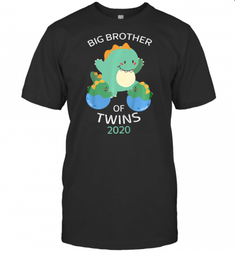 Kids Big Brother Of Twins 2020 T Shirt Dinosaur Twin T Shirt